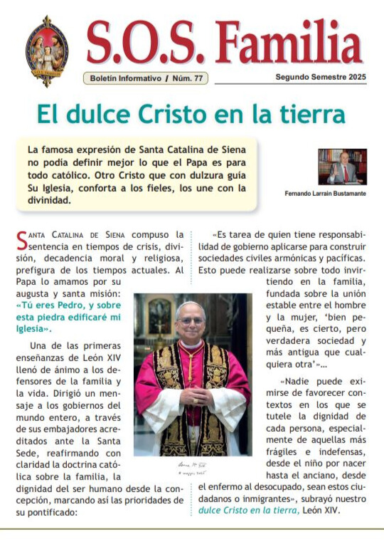 Boletín Informativo nº 77